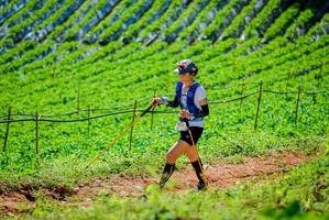 BIB: 
                            <button type="button" onclick="openModal(19163426)" class="btn btn-primary btn-sm float-right btn-popup" data-toggle="modal" data-target=".modal-high-quality">
                        <i class="fas fa-shopping-cart"></i> Add to Cart
                    </button>
                                            <button type="button" onclick="isThisMe(19163426, true)" class="btn btn-success btn-sm float-right btn-popup btn-isme hidden" data-toggle="tooltip" data-placement="bottom" title="นี่คือรูปของคุณใช่ไหม คลิกที่นี่เพื่อเอาเข้าอัลบั้ม">
                        <i class="fas fa-plus"></i> Add to album
                    </button>
                    <button type="button" onclick="isThisMe(19163426, false)" class="btn btn-warning btn-sm float-right btn-popup btn-isnotme hidden">
                        <i class="fas fa-ban"></i> Remove from album
                    </button>